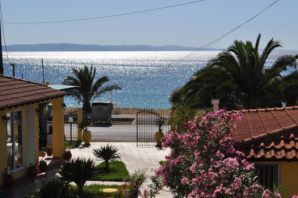 Studios Castro Toroni Luaran gambar
